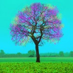 Udo A. Heinrich: Eiche/Fr&uuml;hling (Digipainting, 40x40cm, 2018)