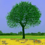 Udo A. Heinrich: Eiche/Sommer (Digipainting, 40x40cm, 2018)