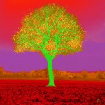 Udo A. Heinrich: Eiche (Digipainting, 60x60cm, 2018)